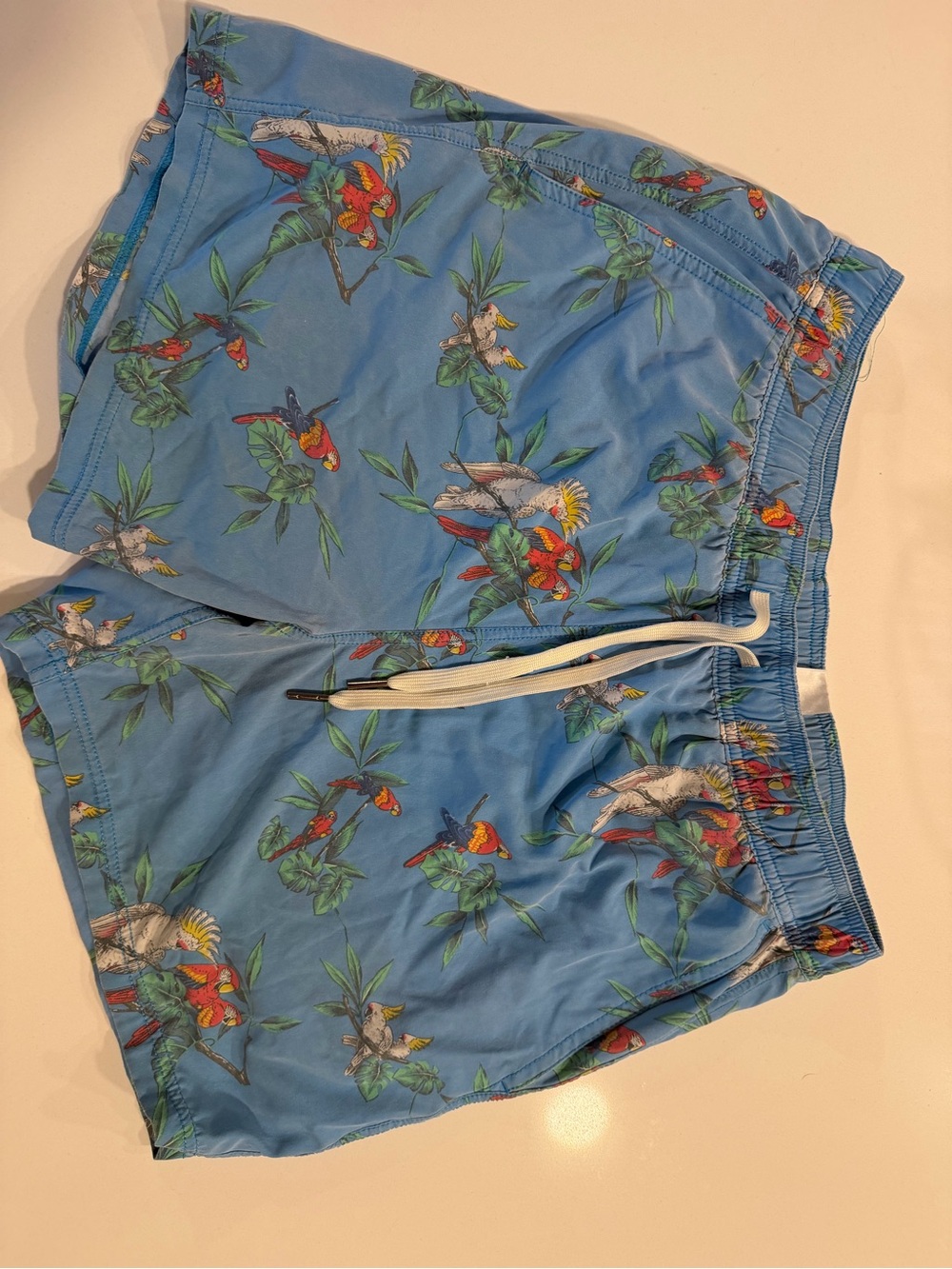 Fair Harbor Light Blue Parrot Print Men's Swim Shorts